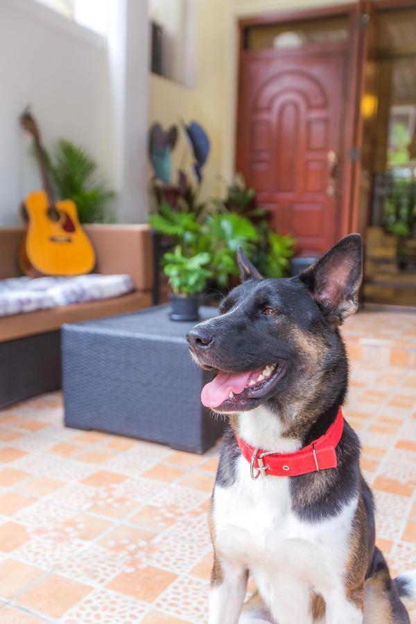 The Little Siri Maison d'hôtes Chiang Mai